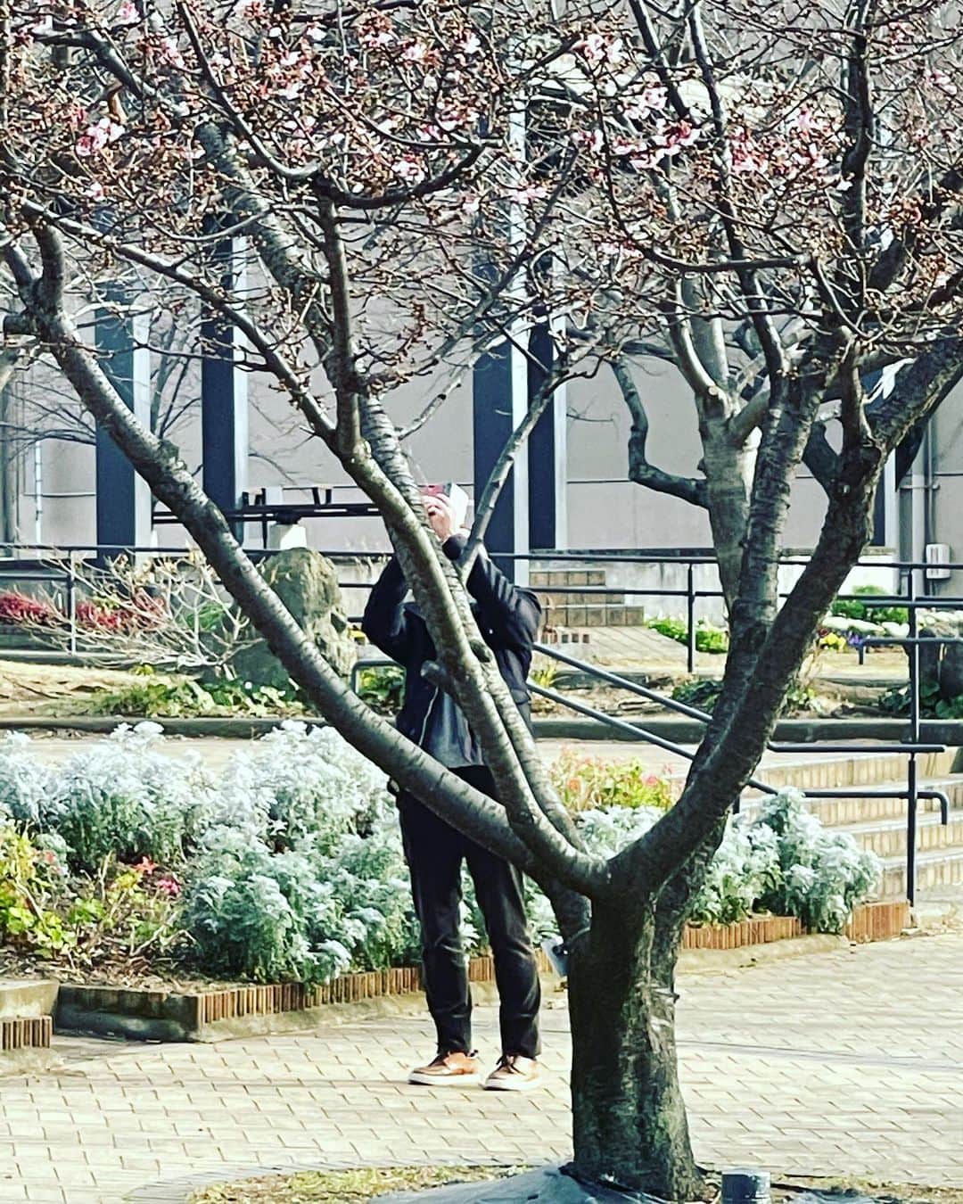 丸山桂里奈さんのインスタグラム写真 - (丸山桂里奈Instagram)「なでスタのロケの秋元さん🦊 可愛い桜を撮影したくて、撮影頑張ってたけどふと我に戻りなかったことにする感の顔😊🤏🌸 いつも、秋元さんに癒されてたくさんサポートしてもらって自分らしくいれる時間になってます。私はなんもないんだけど、こうして周りの方に支えられて毎日お仕事やらせてもらえて、幸せです❣️感謝しかないですね。いつもその気持ちで、フレッシュにいきましょう🥜🍠👏  #ロケ #なでスタ #火曜日 #熱海 #桜を撮影する秋元さん #盗撮 #癒し #いつも目がぐりぐりでバキバキ #安定です #これからも宜しくお願いします #いい意味で #インスタバエ」1月17日 19時58分 - karinamaruyama