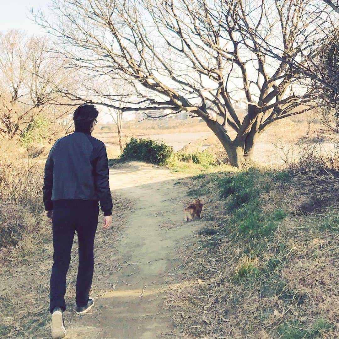 加藤章太郎さんのインスタグラム写真 - (加藤章太郎Instagram)「🐕🚶‍♂️cold day #walking #mydog #duchshund #sunday」1月17日 20時13分 - __shotaro__