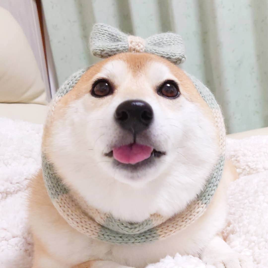 ちゃみのインスタグラム