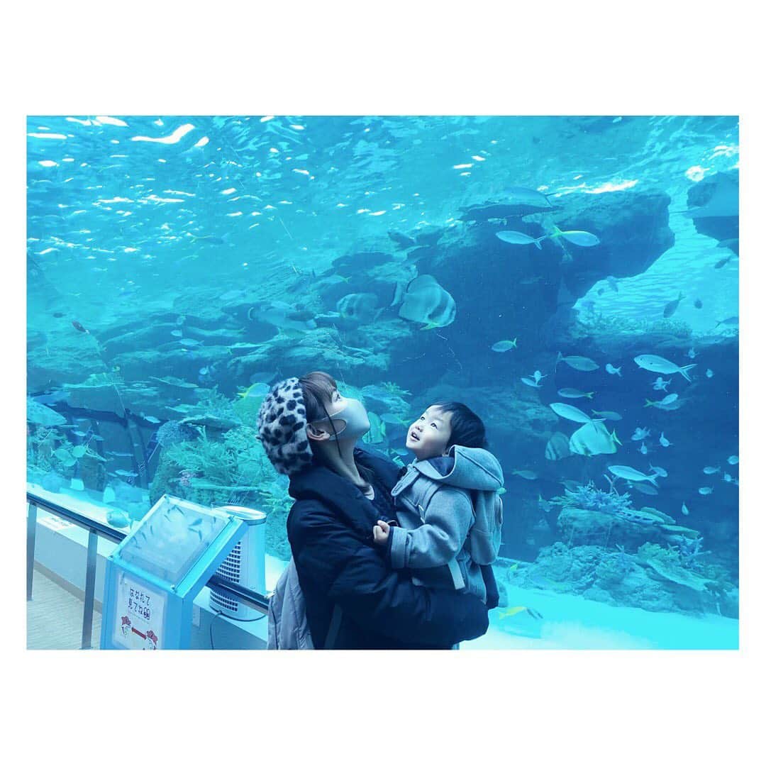 小河結香のインスタグラム：「天使と水族館デート🐠💕 ちょっ中行くけどこんな空いてるの初めて💨 ゆっくり回れました😋 最近のお気に入りはクラゲリウム💫 #名古屋港水族館 #水族館デート #天使と水族館 #天使とデート #クラゲリウム」