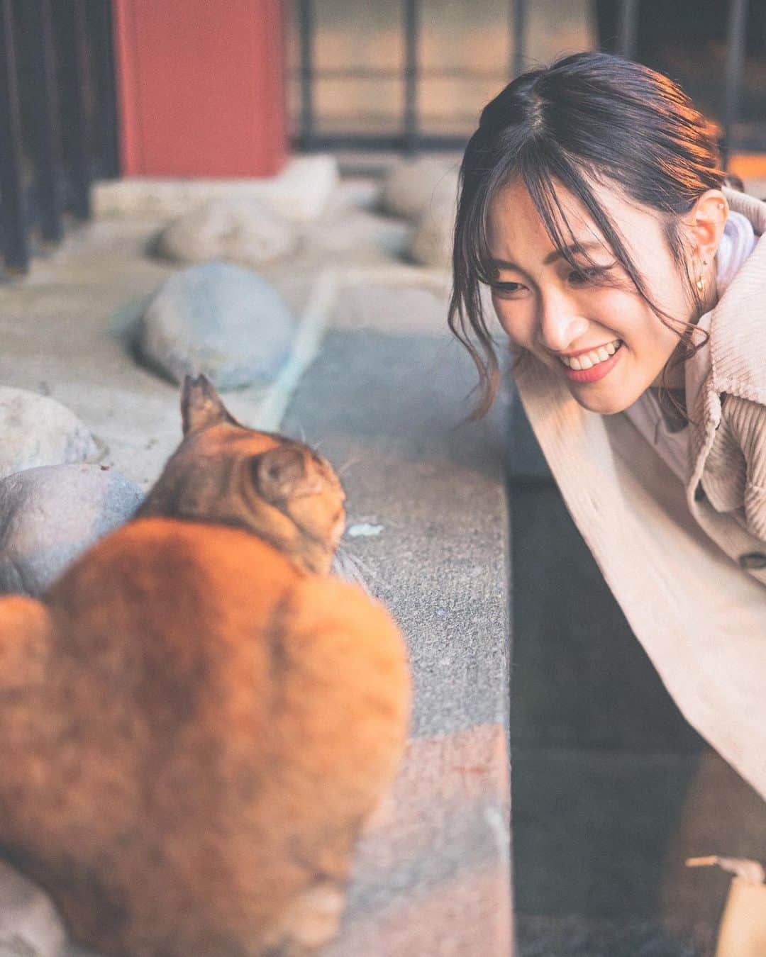 のインスタグラム：「🐈  (Photo by @yu_shimamoto)」