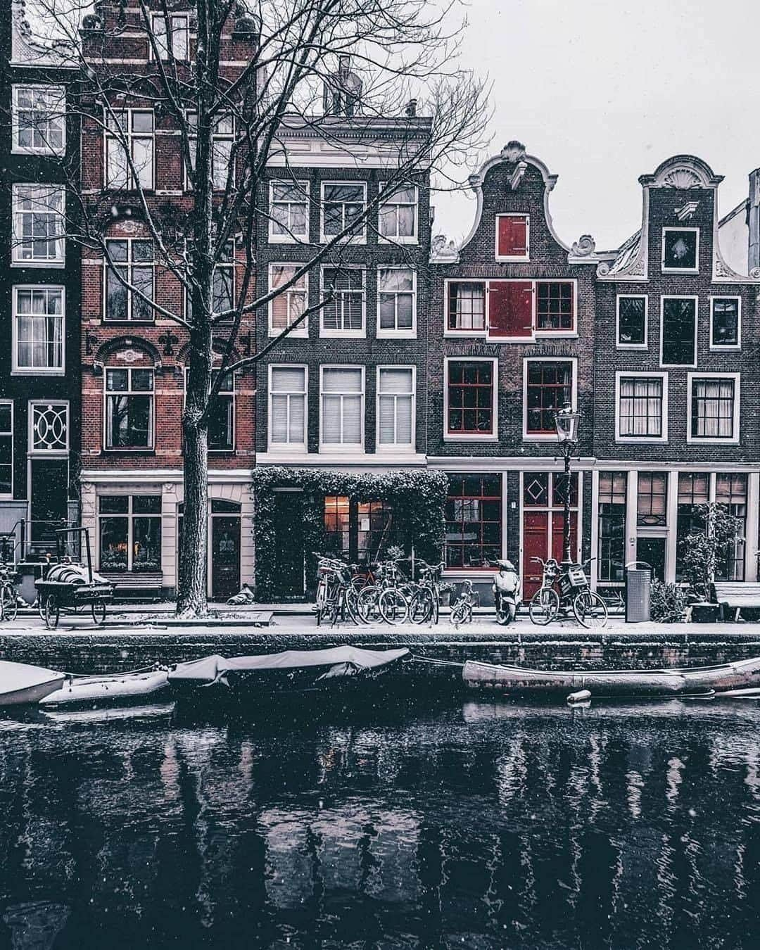 9GAGさんのインスタグラム写真 - (9GAGInstagram)「Once upon a winter ❄️ Follow @voyaged fore more winter gems around the 🌍 - 📷 @een_wasbeer - #voyaged #amsterdam #thenetherlands #9gag」1月17日 20時30分 - 9gag