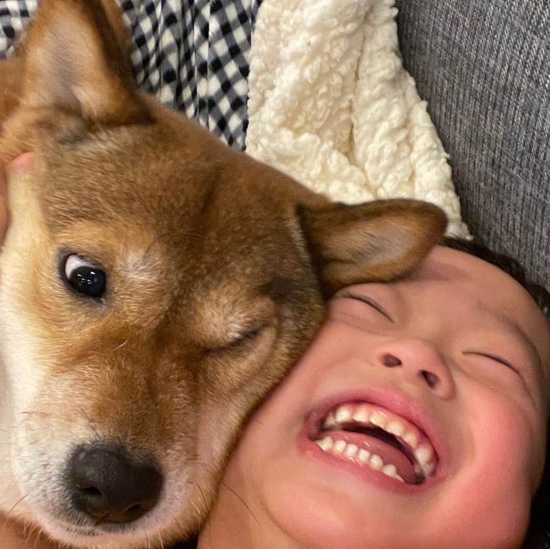 のインスタグラム：「珍しくふたりくっついて仲良しだったよ！ 最後はさくちゃんのしつこさにミクが怒ってて逃げてた！」
