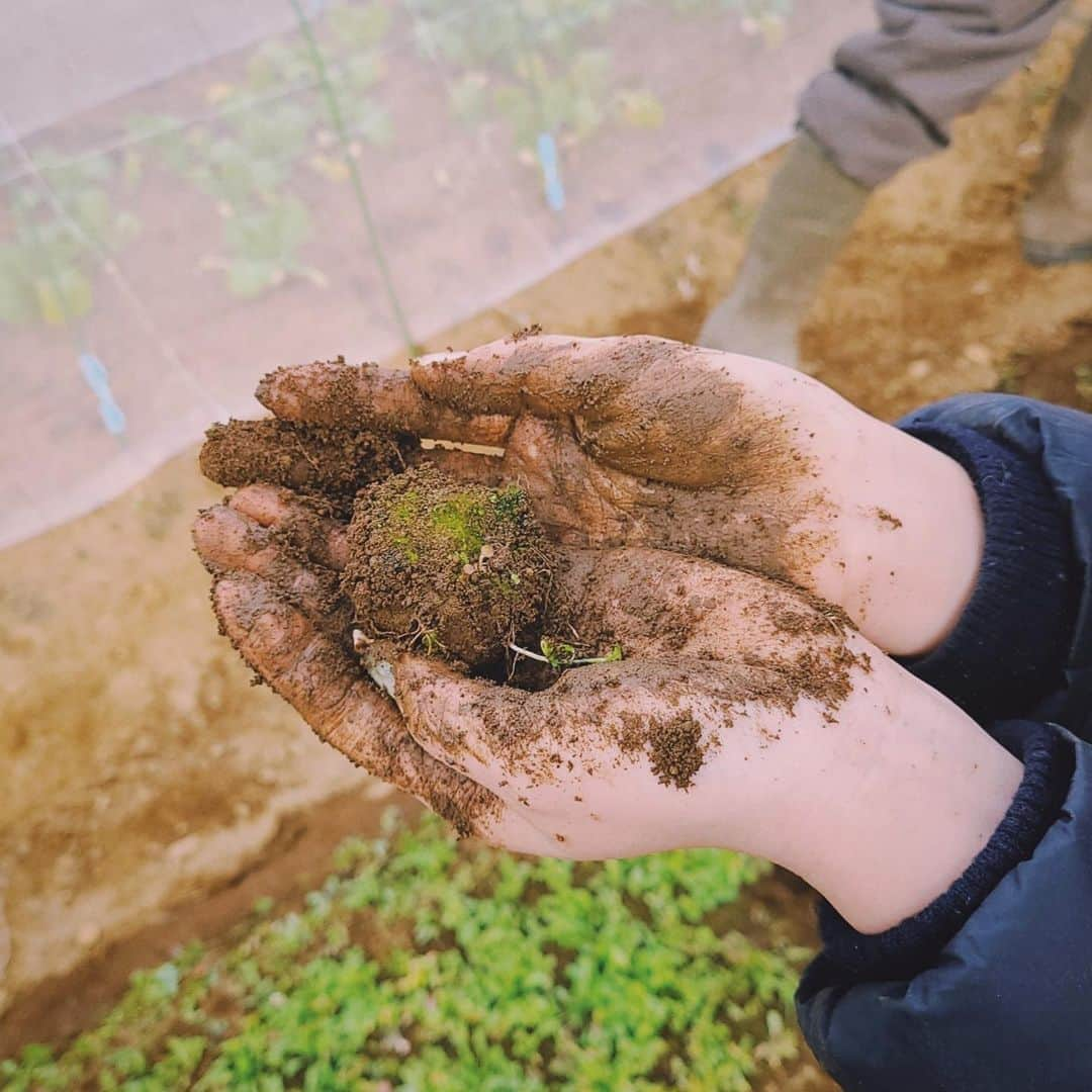 柴田紗希さんのインスタグラム写真 - (柴田紗希Instagram)「4.5ヶ月くらい　#太陽熱養生処理 をしている土がパワーすぎて！！！ 雑草がエメラルドグリーンすぎて！！！ 新しい生命体みたいなものを感じた！！！ すっごかったー✨ めっちゃ元気でたー✨ #色川ファーム #畑女子 #気分晴れやか #地球に感謝 今日は土のパワーがすごすぎてこんな言葉しかでません。🙏🏻 ひたすら心がパッとなったのでした！」1月17日 20時44分 - shibasaaki