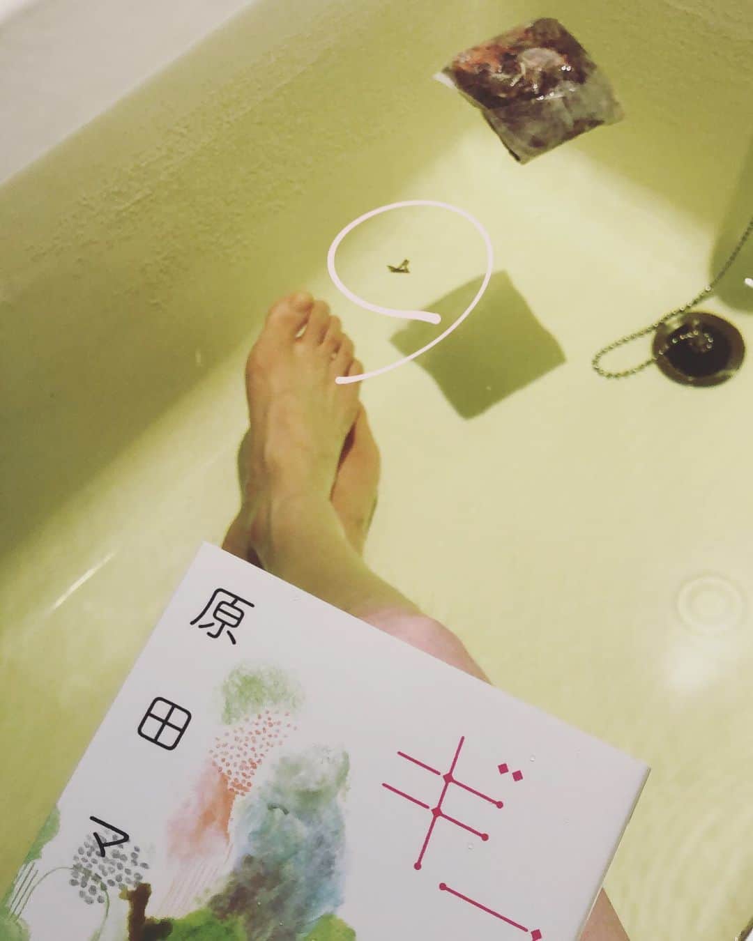 MIHOのインスタグラム：「【寒い夜にホッコリタイム】  ご褒美入浴剤  １５分ほど弱火で煮出してお風呂にそのまま入れます  おや？ハートみっけ☺︎  オーガニックで育った和のハーブ「よもぎ」と西洋のハーブ「ローズ」美肌の生薬「ヨクイニン」をブレンドし、オールナチュラルハーブだけの贅沢さ☺︎  @graces_beaute にてお求めいただけます  芦田桂子ちゃんが心を込めてブレンドした入浴剤です  年末のイベントのノベルティでもapricityのハーブティーをブレンドしていただきお世話になりましたが、愛情たっぷりでそれだけで元気になりマス☺︎  まずは足湯で本をよんでジワーッとしてから浸かって、あとは肩までつかってノンビリ  体って大事なとこと、汗かくとこ以外はそんなこすらないかも、カサカサするから  え？汚い？  笑  この浜田マハさんの本 すごくあったかい気持ちになるのでオススメです  ギフト  ゆっくり深呼吸しながらお風呂タイムっていいですよね☺︎  寒い日の夜に  @keiko_ashida  @graces_beaute   #入浴剤 #漢方 #温浴 #オーガニック #浜田マハ #ギフト #美容 #毛穴ケア #セルフケア #グウタラ美容 #みほのお気に入り」