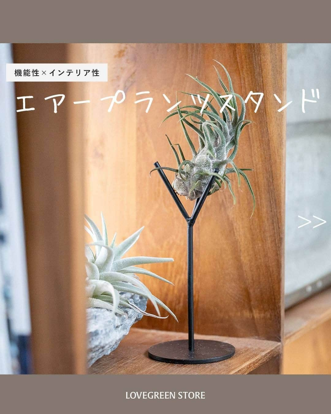 LOVEGREEN -植物と暮らしを豊かに。のインスタグラム