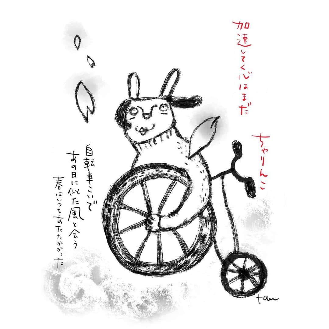 たむらぱんのインスタグラム：「やーこんばんはー 週末みなさま、いかがお過ごしでしたでしょうか。さて先日より、たむらぱんofficial YouTube channelにて過去のLive動画が公開されております。少しずつ😊  本日21時公開は、回転を加えてこいで『ちゃりんこ』です。是非ご覧下さい！宜しくお願い申し上げます🌸  #check#live #my#official#youtube  #たむらぱん#tamurapan#ちゃりんこ  #うさぎいぬ」