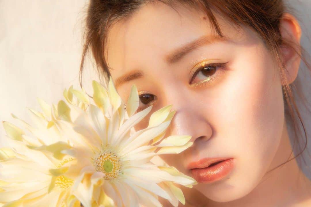 岡本杏理さんのインスタグラム写真 - (岡本杏理Instagram)「これガーベラ、珍しくて可愛かったなぁ♡ #gerbera #非洲菊 #거베라」1月17日 21時23分 - anri_okamoto