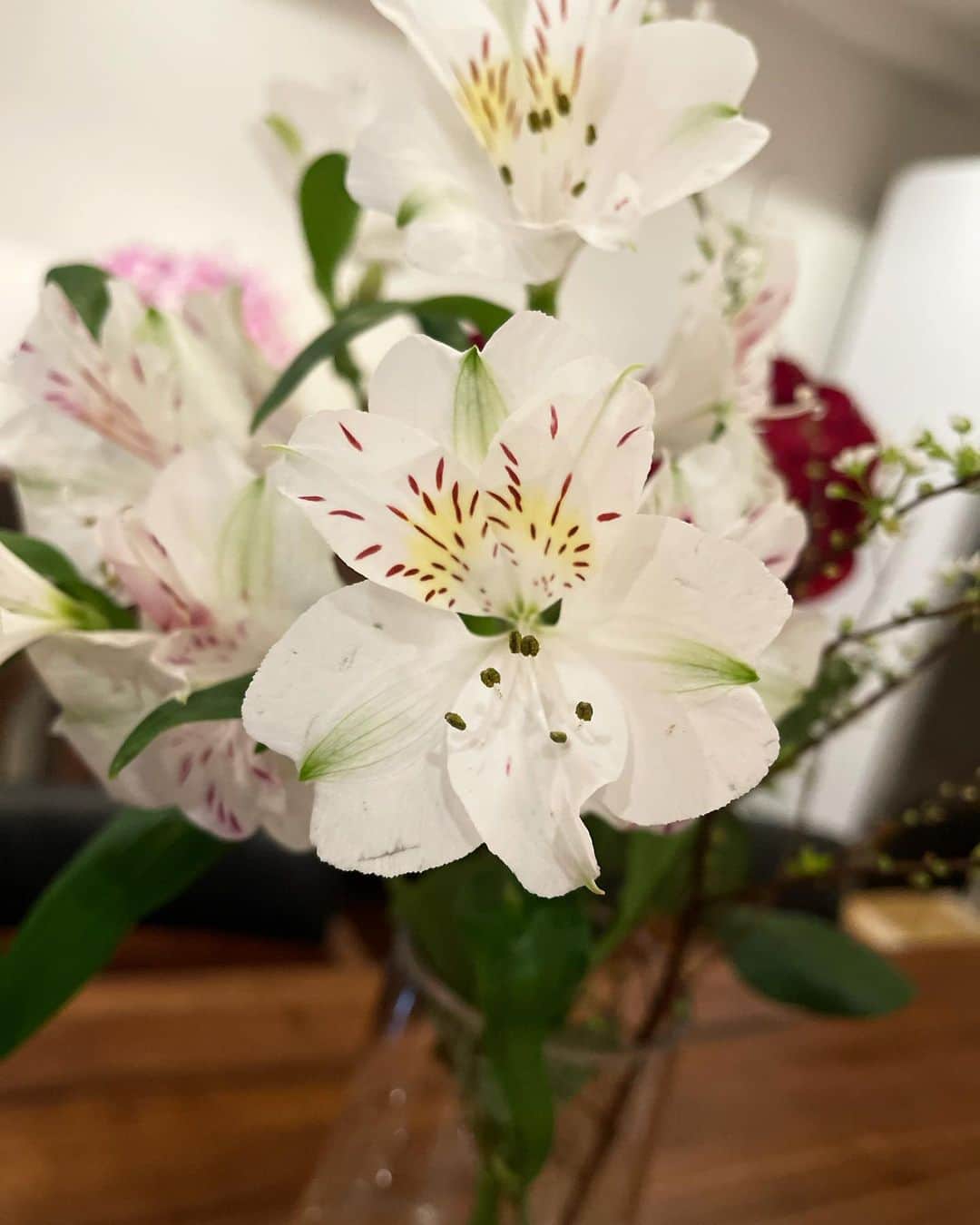 前園真聖さんのインスタグラム写真 - (前園真聖Instagram)「バラとアリストロメリアとユキヤナギ。 #花のある暮らし  #花」1月17日 21時21分 - maezono_masakiyo