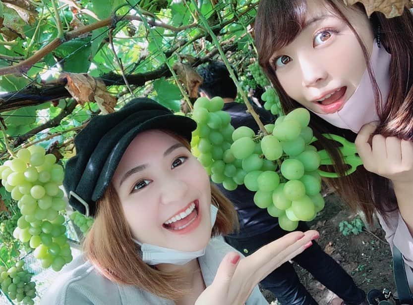 福島ゆかのインスタグラム：「：去年のシャインマスカット  かなり前だけど、あんちゃんとシャインマスカット狩りに行きました🍇  ほんっっっっっとぉぉぉぉぉに甘くて甘くて 喉が、あ！！ん！？？？ ってなりました（笑）  絶対今年も行きたい、、、✨✨  #シャインマスカット #シャインマスカット狩り #葡萄 #おいしい #幸せ #甘い #甘党  #フルーツ #果物 #果物大好き  #フルーツ狩り #fruit  #友達」