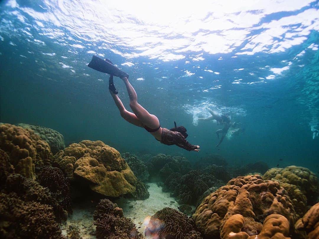 Amata Chittaseneeさんのインスタグラム写真 - (Amata ChittaseneeInstagram)「By @maxmillionx 🤙🏽  Dance with the waves, move with the sea,  let the rhythm of the water set your soul free  #lipeisland #thailand #pearypieamazingthailand #สตูล #Satun #freedive #scubadiving #diving #saveocean #marinelife #islandlife」1月17日 21時59分 - pearypie