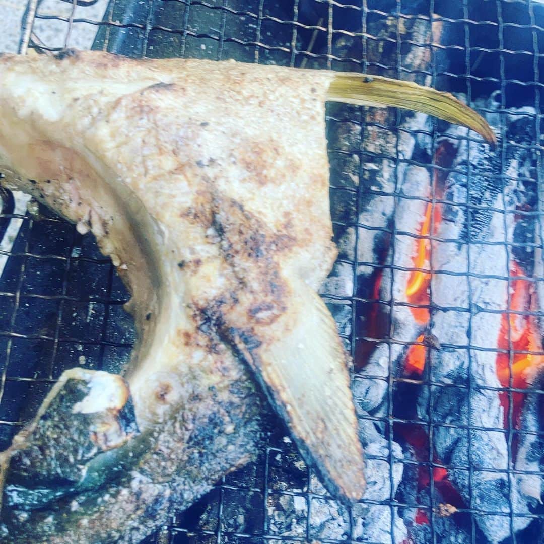 SHELLY（シェリー）さんのインスタグラム写真 - (SHELLY（シェリー）Instagram)「この冬はバーベキュー三昧。 なかなか出かけられないので、家でのイベントは火を起こす事。  基本肉！肉！肉！  ですが、この日はハマチのカマゲット❤️ パチパチ脂が焼けてる音がたまらない♪  #カマゲットって見た目に違和感 #直さないけど #火おこしめっちゃ楽しい #でもめんどくさいので最近はガッツリ着火剤使ってます #最初だけ #カマからのマシュマロ」1月17日 21時51分 - shelly_official_shelly