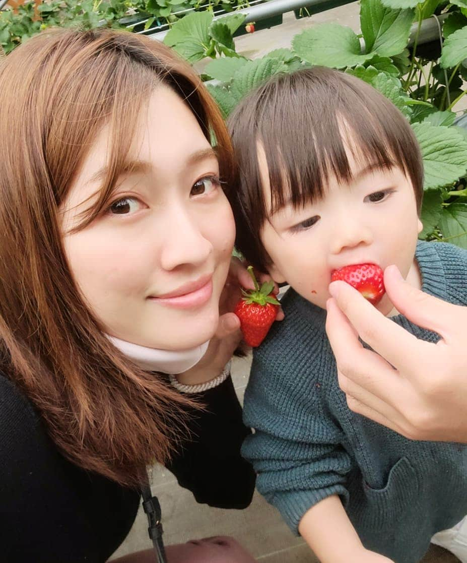 佐川愛果さんのインスタグラム写真 - (佐川愛果Instagram)「イチゴ狩り🍓  #いちご狩り  #じゅわじゅわじゅー  #1歳5ヶ月  #1歳5ヶ月男の子  #男の子ママ  #小さな彼氏」1月17日 22時42分 - aika728sagawa