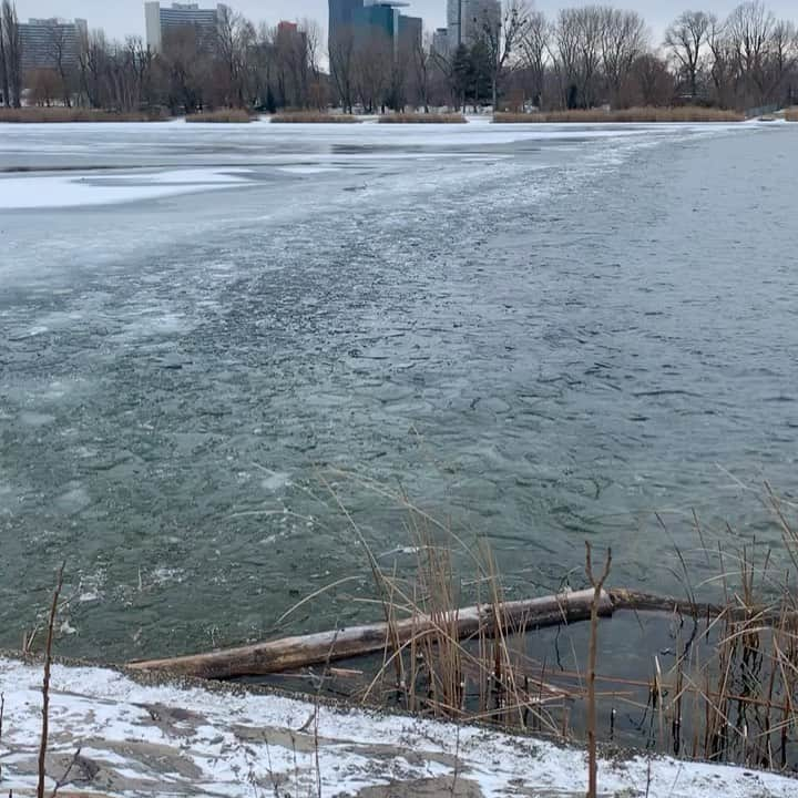 ケルシュティン・フランクのインスタグラム：「Found some different kind of wind chimes during our sunday walk today🥰 . 🔈 sound on if you want to listen to it too 😊 • • • #altedonau #sundaywalk #lockdownactivities #vienna #windchimes」