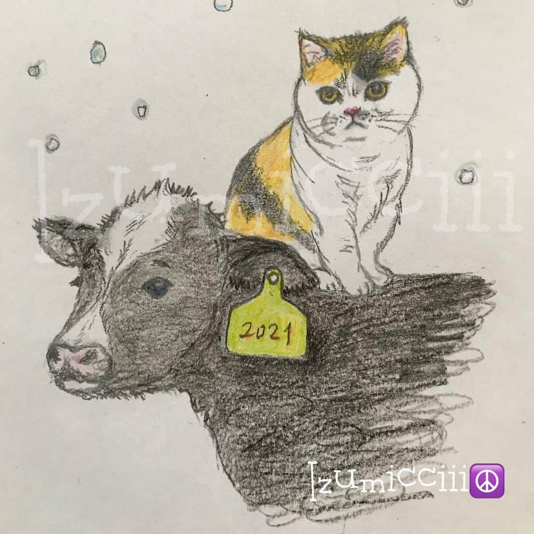 Izumi Kanno??のインスタグラム：「☮️ デイジーから届いたぁぁ😆 * I got a lovely card from Miss Daisy!! ❤️❤️❤️😻 ＊ ＊ ＊」