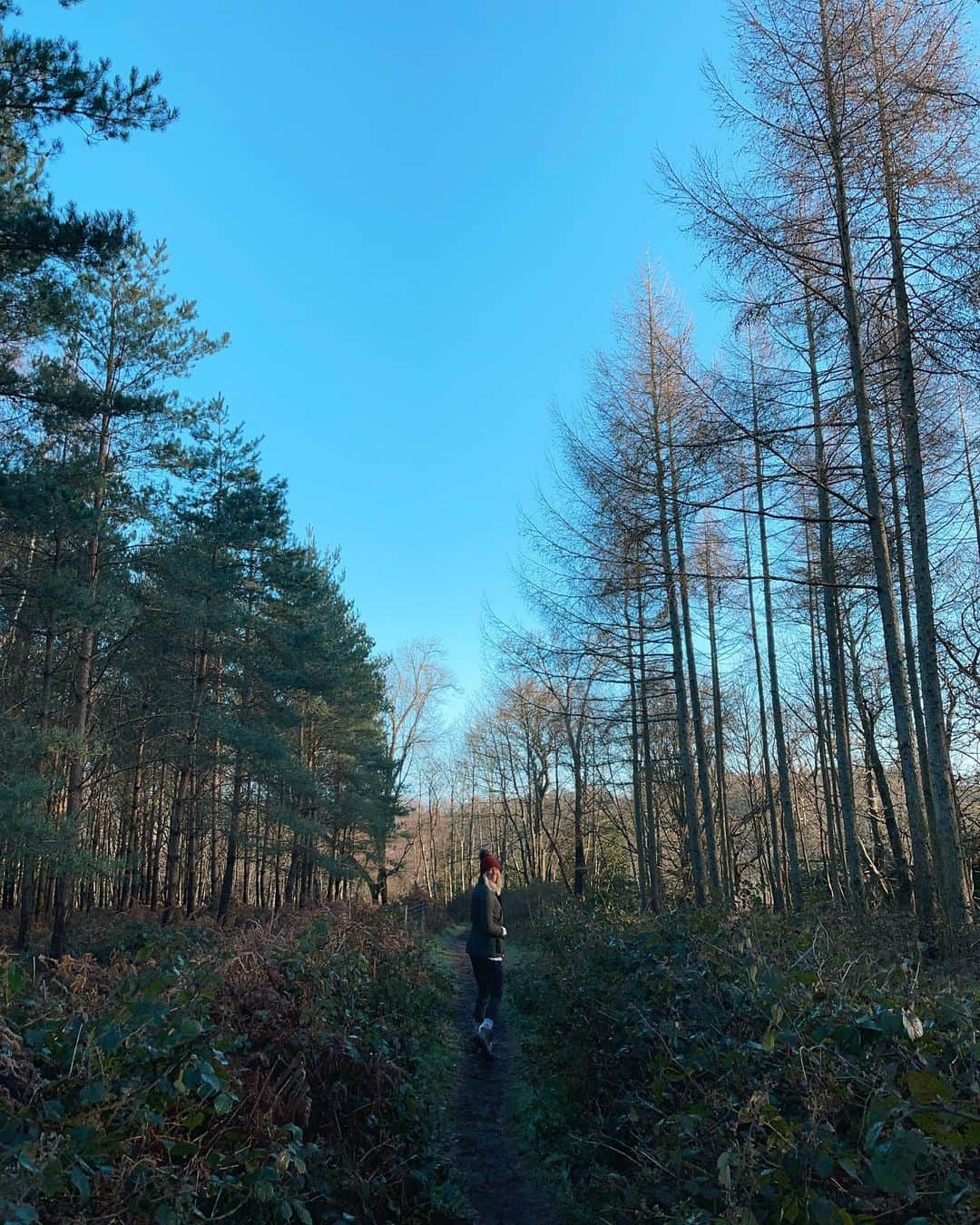 Zanna Van Dijkさんのインスタグラム写真 - (Zanna Van DijkInstagram)「Sundays in Surrey 🌳💚 #freshairandsunshine #homesweethome #getoutdoors #outdooradventures」1月17日 23時44分 - zannavandijk