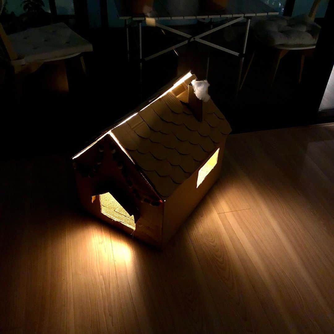 池田有希子のインスタグラム：「猫ハウス明るい編、不評！  #cardboardcrafts #catstagram」