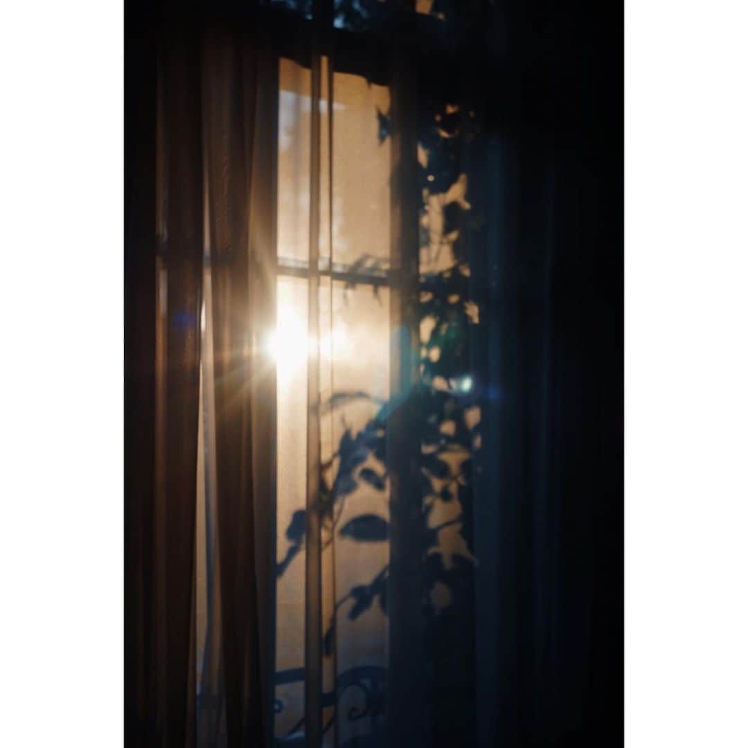 奈緒さんのインスタグラム写真 - (奈緒Instagram)「. おやすみなさい またあしたね」1月17日 23時56分 - sunaosquare