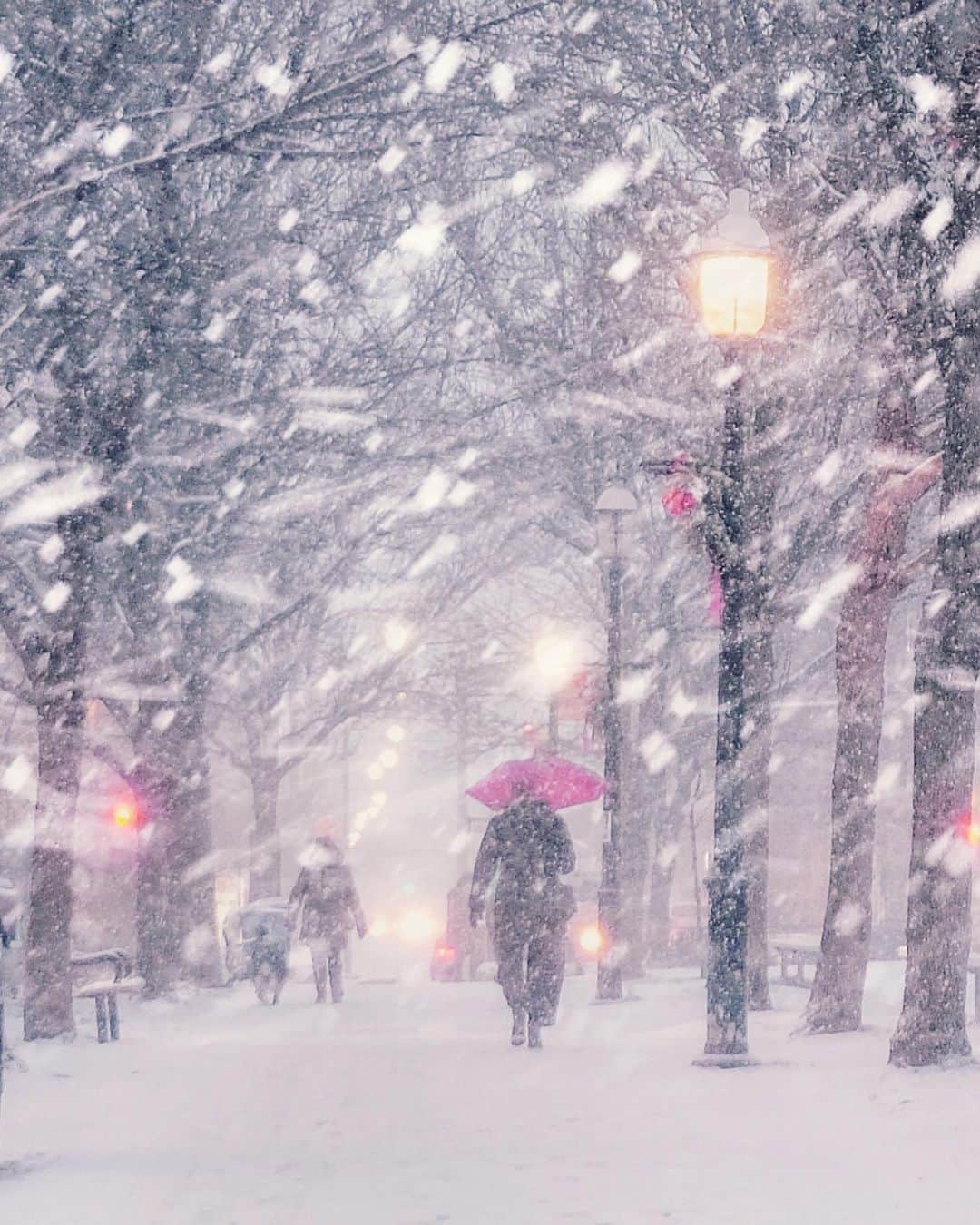 kaelのインスタグラム：「Something so romantic about a snowstorm」