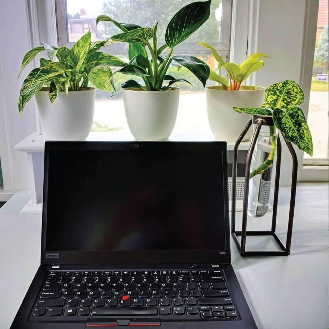 Lenovoさんのインスタグラム写真 - (LenovoInstagram)「Where has your laptop been? Tag @Lenovo to show us your favorite spots to work, learn or game!」1月18日 0時19分 - lenovo