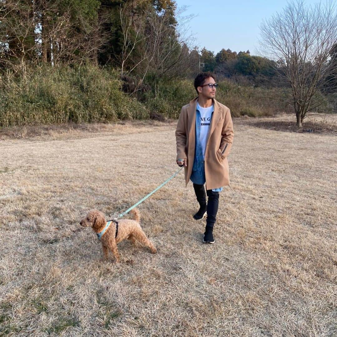 宮田和幸さんのインスタグラム写真 - (宮田和幸Instagram)「#鮨 #犬 #散歩 #グルメ」1月18日 1時13分 - miyata.hercules