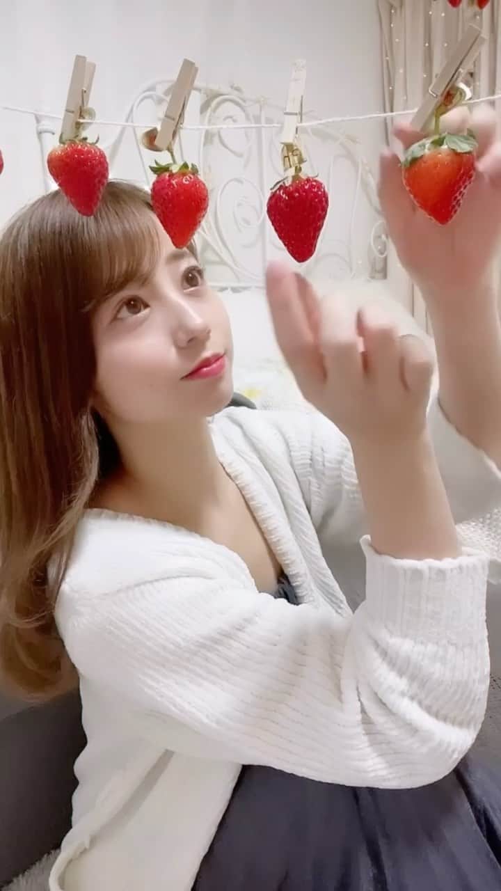 YUMIのインスタグラム：「🍓 ずっとお世話になっている 八女のプーさんのいちご園さんが ▶︎ @pusannoichigo   "10種類"のいちごをおうちで 食べ比べできるセットを販売開始したよ🤤💕  沢山のいちごが届いたので 贅沢に"お家でいちご狩り"しちゃいました〜🏠✨  1つずつ品種が書いてあるから お気に入りを探すのも楽しい😋  そしてプーさんのいちご園の いちごは何と言っても美味しくて大好き！🍓  いちご園の皆さんも、 とても素敵な方ばかりなんよ☺️  でも福岡県に緊急事態宣言が出て いちご狩りのお客さんも減ってるんだって🥺  一昨年と比べて来園者は9割減🥺  いちごは毎日赤く色づく 美味しい季節なのに、、😭🍓  微力ながら、 大好きないちご農園のために 何か行動出来ればと思いました🥲  生産者の皆さんを食べて応援するサイト 「たべまる」で販売されてるよ🔍  ぜひチェックしてね！！💪✨✨  大好きな場所のために 私たちにできることは何だろう🤔💭  #プーさんのいちご園#福岡カフェ  #福岡#いちご狩り#お家でいちご狩り  #おうちでいちご狩り#いちご #コロナに負けるな#苺#八女 #福岡いちご狩り」