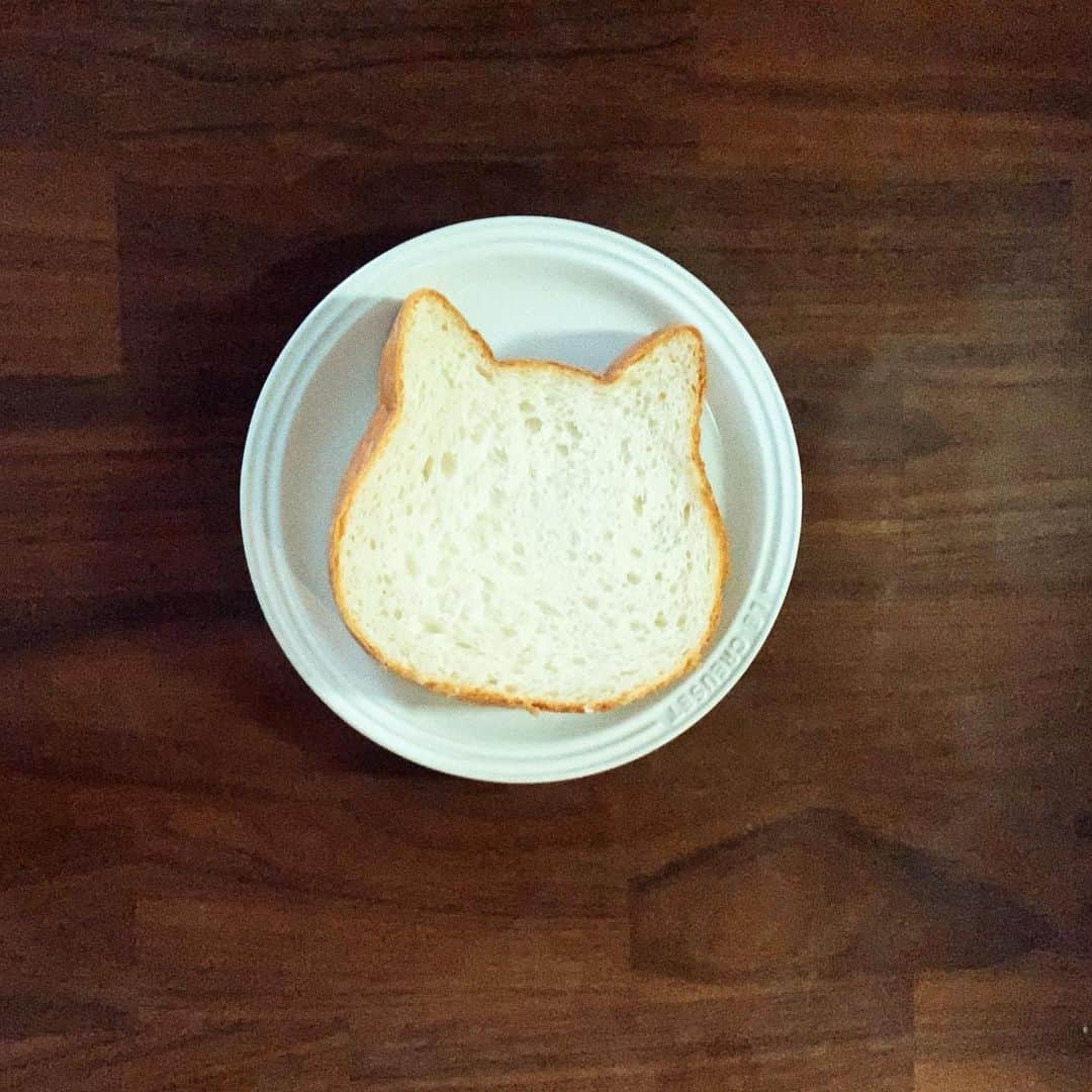 森岡朋奈さんのインスタグラム写真 - (森岡朋奈Instagram)「#ねこ #ねこねこ食パン #表参道  おいちかった」1月18日 12時39分 - morioka_tomona