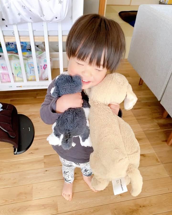 永峰絵里加のインスタグラム：「Morning kisses to his buddies💋🐶🐶 ・ 朝起きるとわんこ達にハグしてちゅーする長男^ ^ 可愛がってくれてなにより♡  ・ ・ ・ ・ #1yearold #myboy #morningkiss #love  #おはよう #息子 #長男 #1歳男の子 #1歳10ヶ月  #おや #鼻くそ見えてる #朝のひととき」