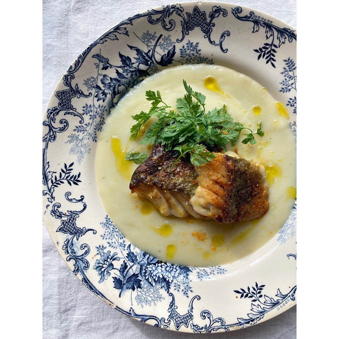 journaleatripのインスタグラム：「water magic seasoning  茹でたジャガイモがあったので温めなおすついでに玉葱と水とでピューレに。 ついでに残ってるセロリの葉や野菜の切れ端など入れるから充分美味しい。 最近はだいたい水出汁。  鱈は美味しいカレー粉を叩いてカリっと焼く。美味しい調味料は楽させて頂き有難い。 .  月曜日。」