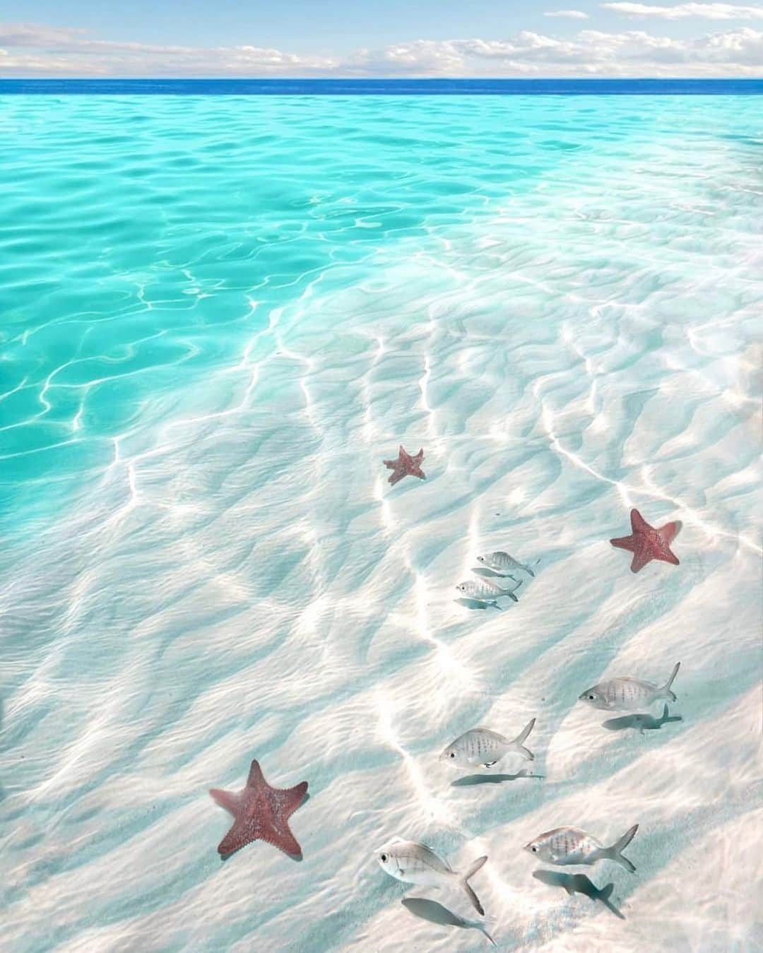 bestvacationsさんのインスタグラム写真 - (bestvacationsInstagram)「Nothing but crystal clear 💧 Bahamas. By @giannistsou.1 #BestVacations」1月18日 4時05分 - bestvacations