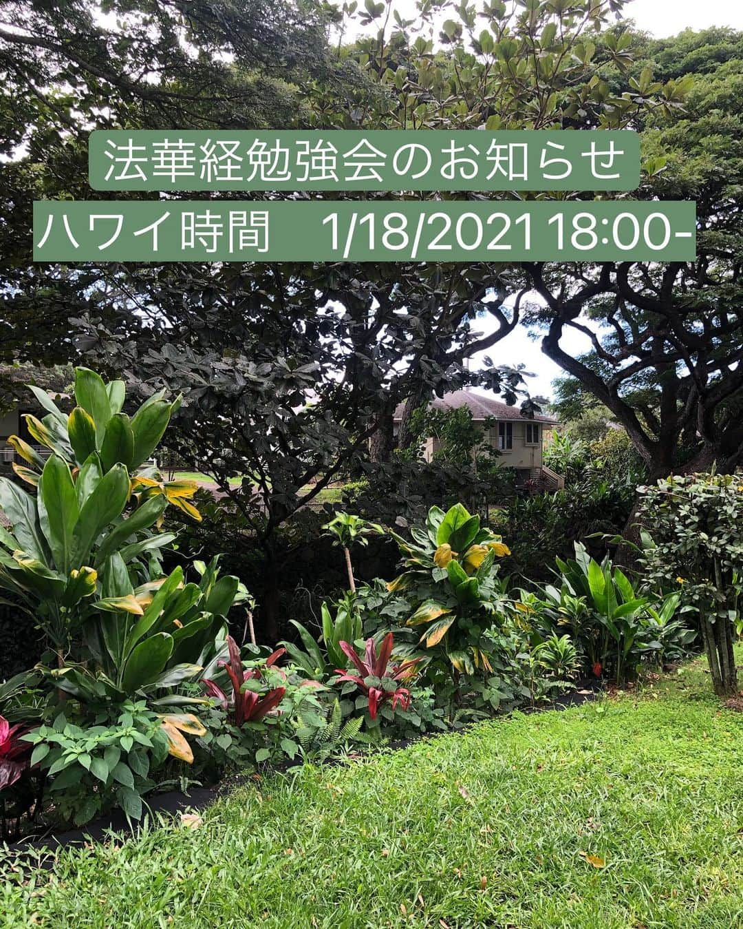 Honolulu Myohoji Missionさんのインスタグラム写真 - (Honolulu Myohoji MissionInstagram)「✏️ 2021年も、法華経勉強会を開催いたします。  ＜オンライン法華経講座＞ 今をいきいきと幸せに生きるヒントが詰まった法華経の教えを、楽しく教養を深めるオンライン講座を開催しています。  日時：毎月第3月曜日 午後6時〜 講師：日蓮宗ホノルル妙法寺 住職 山村尚正   ご希望の方はホノルル妙法寺までご連絡下さい🙏🏼  ————————- 📺  Honolulu Myohoji YouTube channel is available now!  On our YouTube channel, you can see - Rev. Yamamura’s talk, - Past events of Honolulu Myohoji, and - Some nice Hawaii weather from Honolulu Myohoji.  🪄 Dr. Yukari’s listening lounge is here for you!  - Stories are twice a week on our blog, Facebook and Instagram. ————————- * * * * #ハワイ #ハワイ好きな人と繋がりたい  #ハワイだいすき #ハワイ好き #ハワイに恋して #ハワイ大好き #ハワイ生活 #ハワイ行きたい #ハワイ暮らし #オアフ島 #ホノルル妙法寺 #思い出　#honolulumyohoji #honolulumyohojimission #御朱印女子 #開運 #穴場 #パワースポット #hawaii #hawaiilife #hawaiian #luckywelivehawaii #hawaiiliving #hawaiistyle #hawaiivacation」1月18日 4時19分 - honolulumyohoji