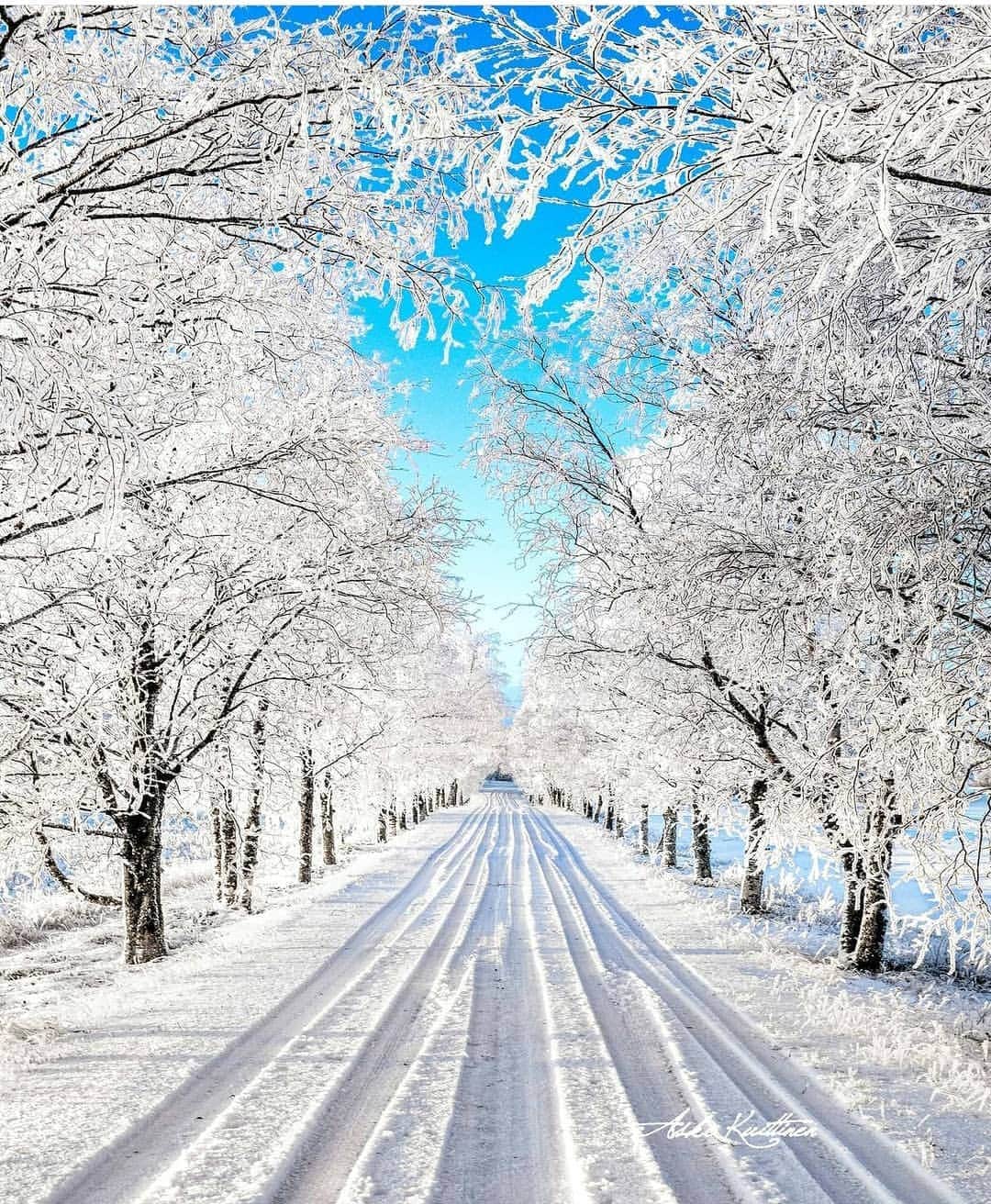 wonderful natureのインスタグラム：「Photo by @askokuittinen check out his feed for more」