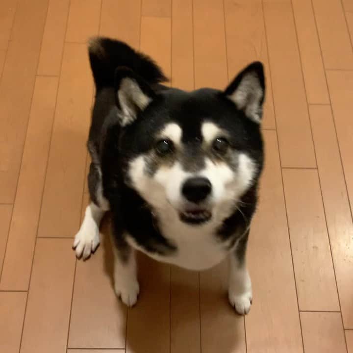 くろのインスタグラム