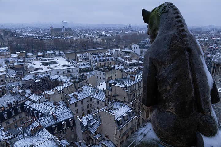 National Geographic Creativeのインスタグラム：「Photo by Tomas van Houtryve @tomasvh / Chimera statues gaze down on freshly fallen snow in Paris on Saturday from the Notre-Dame cathedral. The gallery of Chimeras was added to the cathedral in the mid-19th century by architect Eugène Violet-le-Duc.   . . .  Follow @tomasvh and the public institution in charge of reconstruction, @rebatirnotredamedeparis for more on Notre-Dame.   . . . #notredame #paris #notredamedeparis #neigeaparis #chimère #gargoyle」