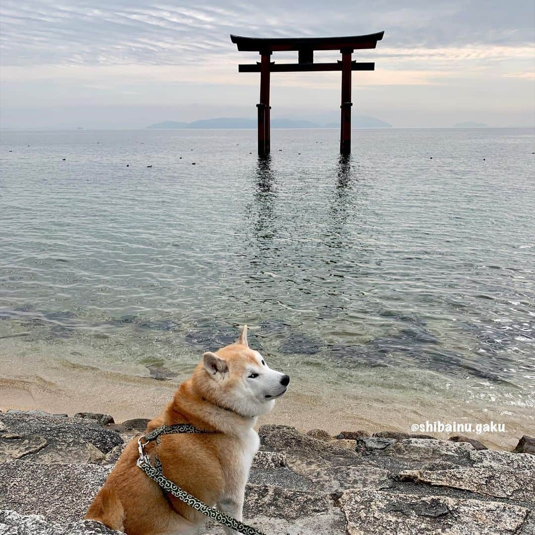 Kazumi-Gakumamaのインスタグラム