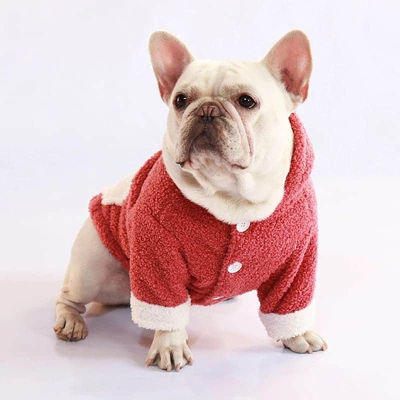 French Bulldogさんのインスタグラム写真 - (French BulldogInstagram)「Fuzzy winter Frenchie Hooded Sweater 🐑🐑🐑 ... How many times did you want to find a tick and warm sweater for your Frenchie? With our Fuzzy winter Frenchie sweater, you no longer have to worry about your dog’s safety and health. ... Exclusive in @frenchie.world shop 🛍🛍🛍 👉 LINK IN BIO 🔝 . . . . . #frenchbulldog #french_bulldogs #frenchie #frenchies #frenchieworld #frenchbulldoglife #frenchbulldoglove #frenchiesofinstagram #frenchie_photos #frenchielove #frenchielovers #frenchiemagazine #ブヒブヒ倶楽部公式 #フレンチブルドッグ #フレンチブルドッグパイド #フレンチブルドッグブリンドル #多頭飼い #犬服 #犬服ハンドメイド #どんぐり帽子 #ベアーボア帽」1月18日 6時41分 - frenchie.world