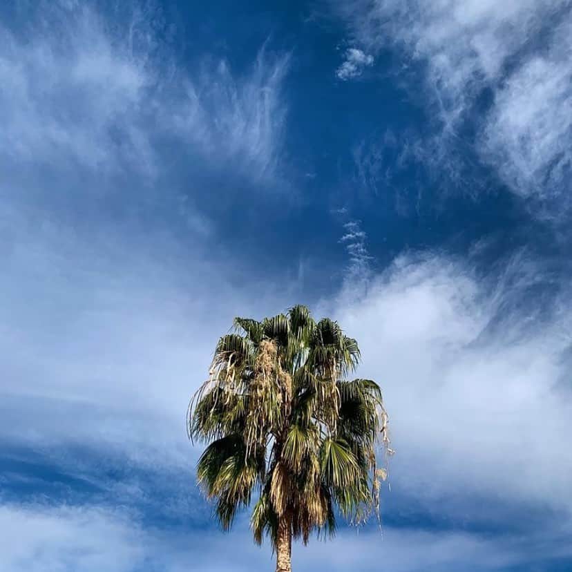 ロンハーマンさんのインスタグラム写真 - (ロンハーマンInstagram)「Los Angeles 01/17/2021 via: @rubenpleal 🌴☀️🌎⛵️🌊 #RHLA #beautifulday #gratitude #nature」1月18日 6時44分 - ronhermanstore