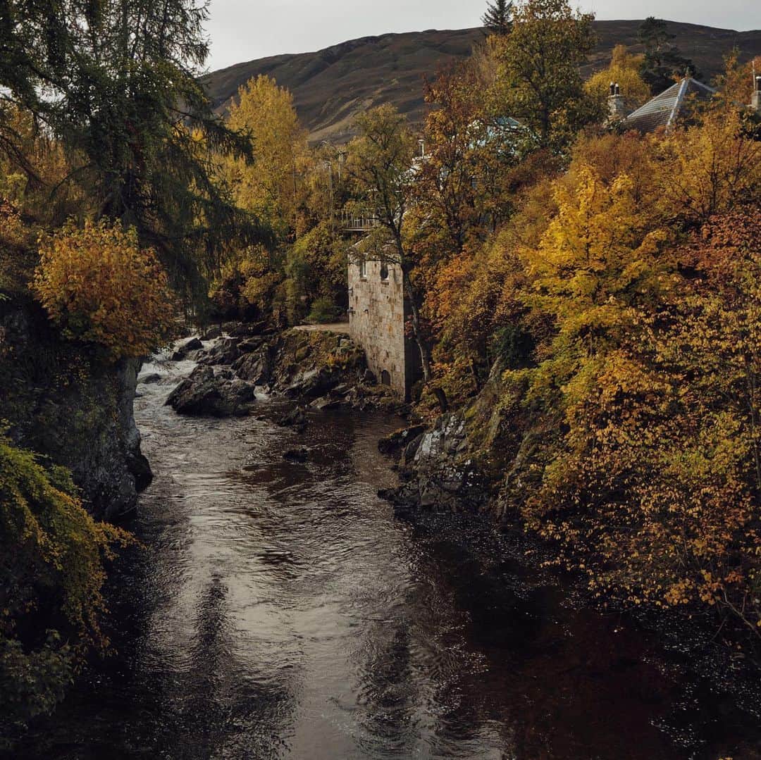 Vogueさんのインスタグラム写真 - (VogueInstagram)「@ellemcphers and Angus Tweedie's micro-wedding in the Scottish Highlands is a lesson in how, sometimes, less is more. At the link in our bio, take a closer look at the couple's intimate ceremony, featuring thoughtful personal touches and a jaw-dropping venue. Photos by @lucybirkheadphotography」1月18日 7時07分 - voguemagazine