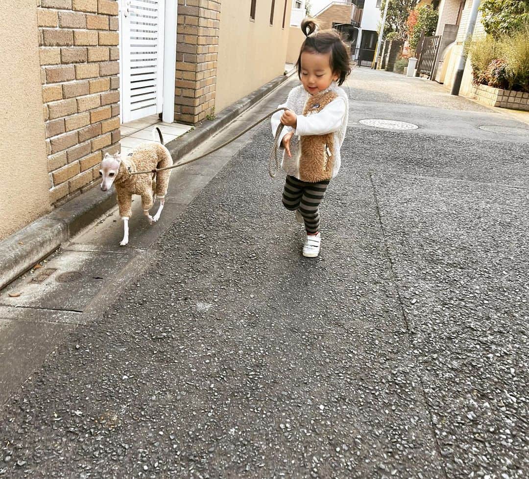 菅井悦子さんのインスタグラム写真 - (菅井悦子Instagram)「犬たちとのペアリングを狙って、本日はレオもモコモコ。 『子供は袖なしがいいのよね』と子供心を知ってる親友（私と同い年の友人、しかし、18歳の男子母😊）から貰ったベストが大活躍。 たしかに、寒いのにアウターをいやがる男子あるある？の息子にはいいみたい👍  #2歳4ヶ月」1月18日 12時43分 - etsuko313