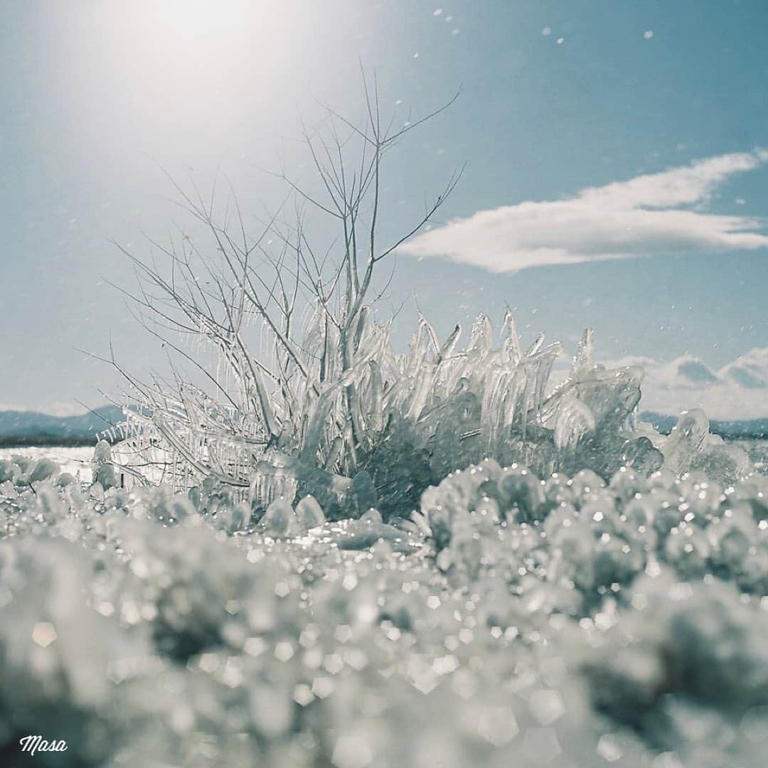 Masaさんのインスタグラム写真 - (MasaInstagram)「. . . ▶︎▶︎▶︎ Swipe . 先週の三連休は大寒波で琵琶湖もすごいことに🧊 今年のは今まで見た中で一番綺麗でした☺️ . ちょうど、今日暇ですかって連絡が来たので、貴重な氷があるからすぐに来てって言ってきてもらいました（笑） 水しぶきを浴びながらもありがとう😊 . . 撮影日 : 2021年1月9日 . #まっセル #エビプリ #hasselblad #ハッセルブラッド#instagramjapan #igersjp #tokyocameraclub #team_jp_  #art_of_japan_ #photogenic_jp #GPW_members_only #good_portraits_world #film_jp #film #フィルム #film_com #filmcamera #filmphotography #portrait #ポートレート #photogram_archive #todays_blue_collection #team_jp_ #shiga #滋賀 #何気ない瞬間を残したい #jp_portrait部 #琵琶湖 #しぶき氷 #氷柱」1月18日 7時45分 - masa_nikonist
