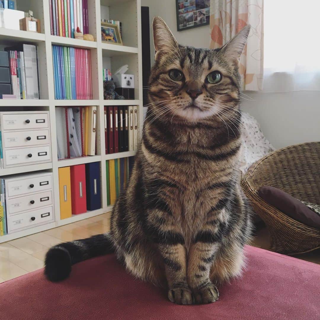 ありす & まりあのインスタグラム：「Good morning! ⛅️ おはにゃ♡」
