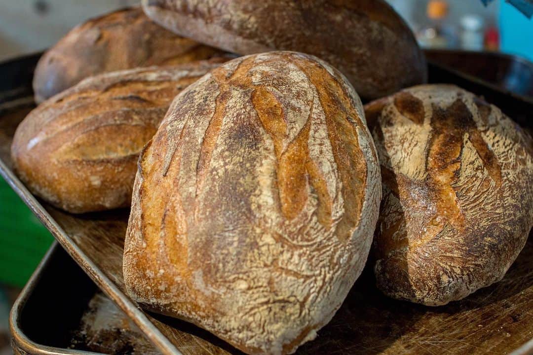 笹塚駅のパン屋さん オパンのグルメインスタ