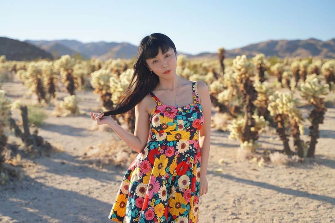 のインスタグラム：「刺々しい。ソーシャルディスタンス。  #maricahase  #japanesegirl #penthousepet #model #asiandoll  #joshuatree   photo by @hirohappytour   お腹空いてる。」