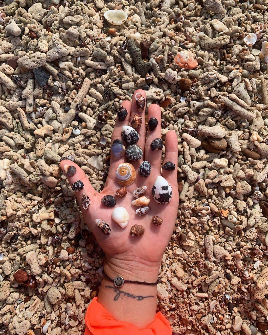 Amata Chittaseneeさんのインスタグラム写真 - (Amata ChittaseneeInstagram)「#reefguardianthailand   Collecting seashells, sand and corals damage beach ecosystems 🤿  Seashells are an important part of coastal ecosystems: They provide materials for birds' nests, a home or attachment surface for algae, sea grass, sponges and a host of other microorganisms. Fish use them to hide from predators, and hermit crabs use them as temporary shelters!  Take nothing but pictures Leave nothing but footprints :)  #leavenothingbutfootprints #satun #สตูล #thailand #pearypieamazingthailand」1月18日 10時36分 - pearypie