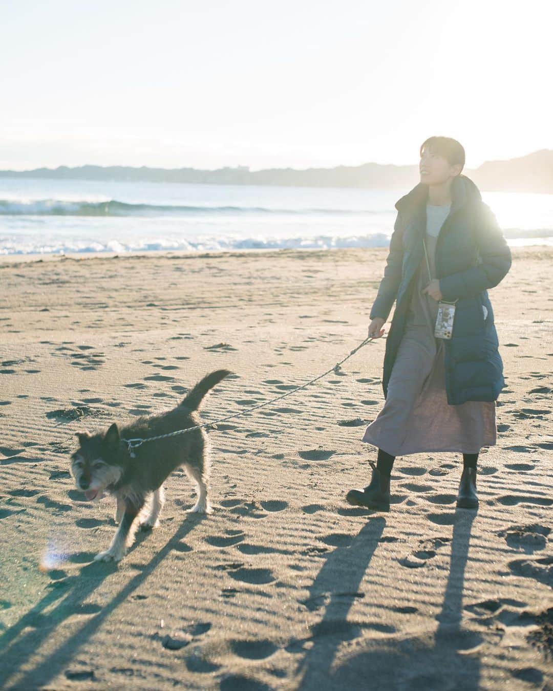 甲斐麻美さんのインスタグラム写真 - (甲斐麻美Instagram)「やっぱり海が好き  #いぬとわたし #元保護犬 #保護犬を家族に #ペットショップに行く前に #犬との暮らし #わたしたちの幸せ #家族 #海 #海散歩 100% #リサイクルダウン #パタゴニア #笑う犬」1月18日 10時54分 - kaico_asami