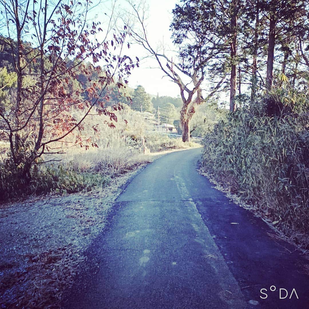 のインスタグラム：「。 昨日もお地蔵さんウォーキング してきました。早朝…マイナス5度 でした(*Ü*)☆彡。 なんか今日も一日笑顔で日々の 感謝感じられる様な気がします。  …腰痛が改善されてきました まさに早起きは三文の徳！！  1円を笑う者は… 百円で百回笑える(^^ゞ  ～人生遊歩道～」