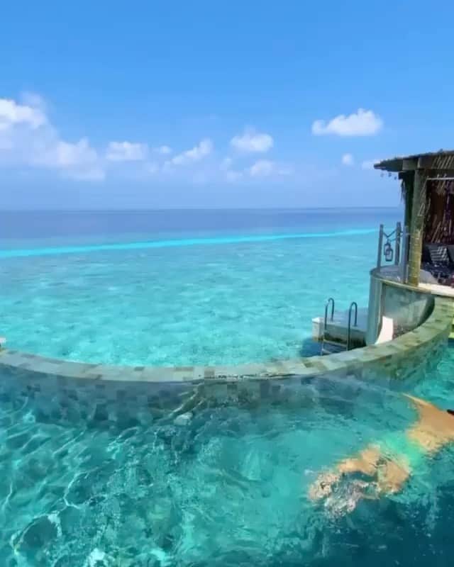 Wedding ?のインスタグラム：「Have a great week everyone! This paradise is called Maldives 🇲🇻 Tag your loved one! Rg @thetravelpro」