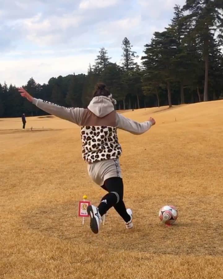 あおい夏海のグルメインスタ