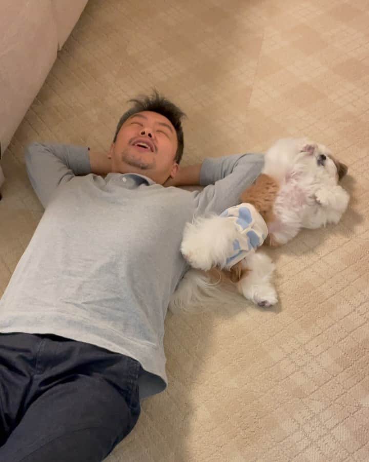 水嶋はちのインスタグラム：「💞🧔🏻🐶💞❶ 今夜もゴロゴロしているボクとパパ その1 * * #はち #HACHI #シーズー大好き部 #右手を挙げて触ってアピール #パパが大好き」