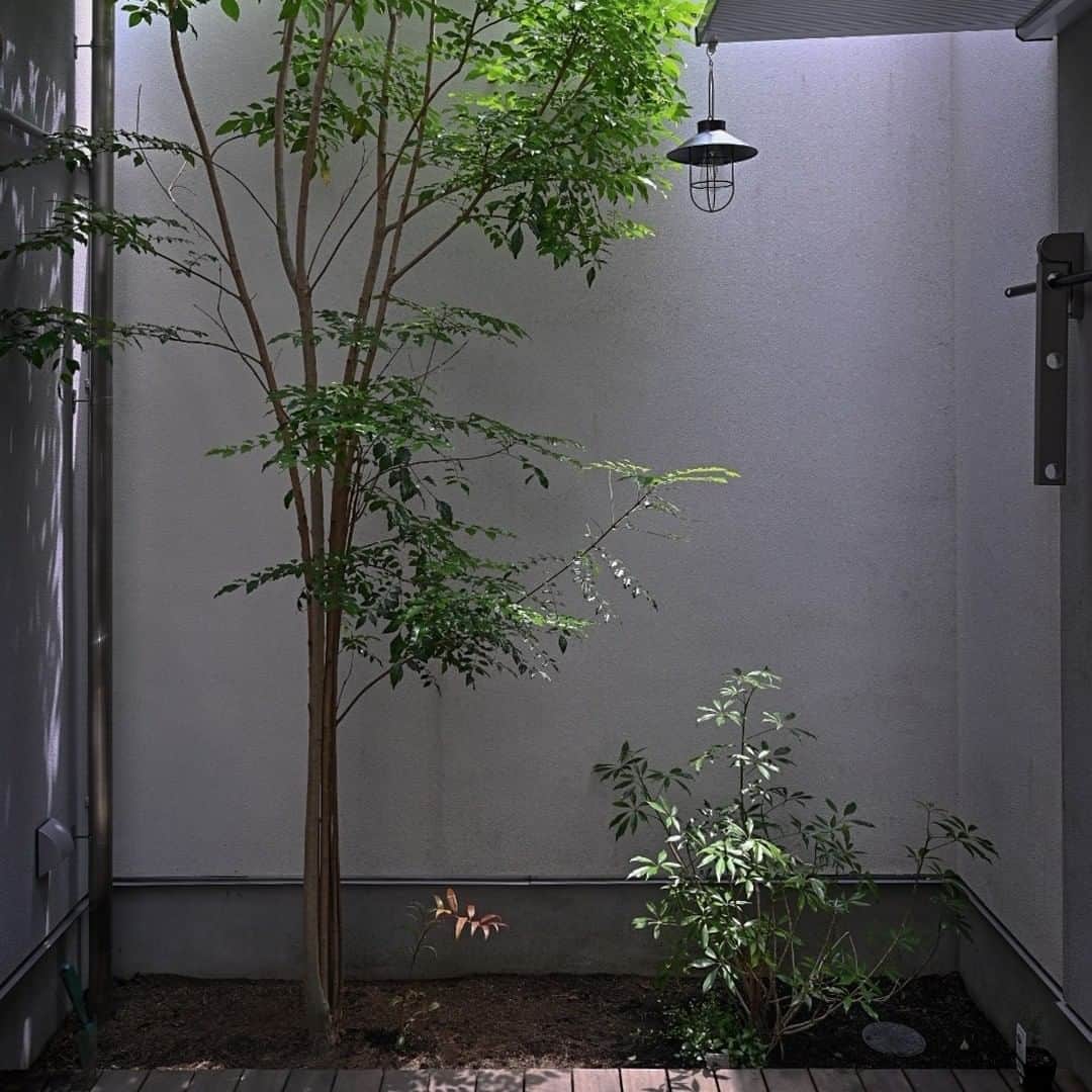 ムクリ［mukuri］さんのインスタグラム写真 - (ムクリ［mukuri］Instagram)「少しずつお気に入りの空間に。都内で中庭のある部屋に住む〜賃貸に見せない夫婦ふたり暮らし（sky___photoさん）  今回よりコラムがスタートするのは、 都内で中庭のある賃貸にご夫婦でお住まいのYUKIさんです。  お写真から伝わる素敵な雰囲気は、 タイトルにもある通り、まさに賃貸に見えない暮らし。  このお部屋に住むことになった経緯に加えて、賃貸での家具選びやインテリアについてなど、家づくりとはまた違った観点で、賃貸の暮らしに焦点を当ててお話を伺いました。  決まった間取りの中で不便さもありながら、 後付けで理想に近づけていく。  今の家に住むまでは、ご夫婦揃ってインテリアや家具に無頓着だったそうですが、そう感じさせないインダストリアル感のあるカッコいい空間です。  今の家をとても気に入っているというYUKIさん。ご夫婦がくつろぐ空間からは、家で過ごす時間をおふたりで楽しんでいる様子が伝わってきます。  インテリアに加えて、 素敵な暮らしぶりも合わせて、ぜひご覧くださいね♩  @sky___photo さん、ありがとうございました！ （編集：maki）  ▶詳細はプロフィールのURLよりご覧ください プロフィールはこちらから @mukuri_official ・  #賃貸diy#賃貸暮らし#賃貸インテリア#賃貸でも諦めない#中庭のある家 #土間のある家#土間のある暮らし#インダストリアルインテリア#北欧インテリア#北欧家具#無印良品#日々の暮らし#シンプルな暮らし#シンプルライフ#グリーンインテリア #グリーンのある暮らし#植物のある暮らし#くらしの編集#ムクリ」1月18日 21時06分 - mukuri_official